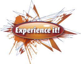 EXPERIENCE-IT-LOGO.gif